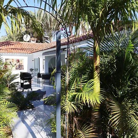 Sun Club Luxus Projecto 65 *