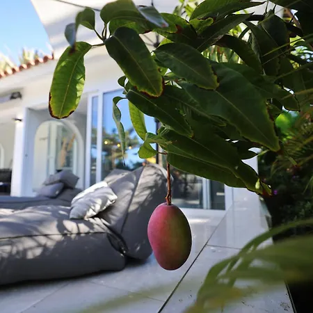 Sun Club Luxus Projecto 65 Maspalomas (Gran Canaria)